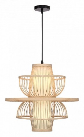 Подвесной светильник ST-Luce ALMA SL6241.513.01 в Кировграде - kirovgrad.ok-mebel.com | фото 2