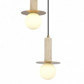 Подвесной светильник ST-Luce Earthy SL1194.303.03 в Кировграде - kirovgrad.ok-mebel.com | фото 4