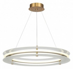 Подвесной светильник ST-Luce FAGY SL6245.203.01 в Кировграде - kirovgrad.ok-mebel.com | фото 2
