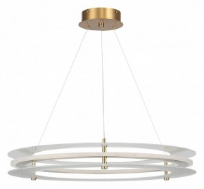 Подвесной светильник ST-Luce FAGY SL6245.203.01 в Кировграде - kirovgrad.ok-mebel.com | фото 3