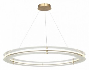 Подвесной светильник ST-Luce FAGY SL6245.213.01 в Кировграде - kirovgrad.ok-mebel.com | фото 4
