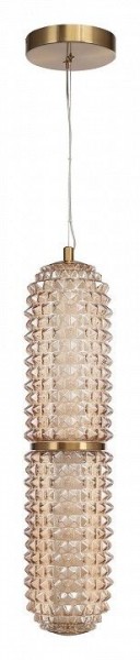 Подвесной светильник ST-Luce SAGUARO SL6144.303.01 в Кировграде - kirovgrad.ok-mebel.com | фото 3