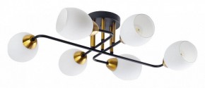Потолочная люстра Arte Lamp Andrea A8141PL-6BK в Кировграде - kirovgrad.ok-mebel.com | фото