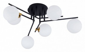 Потолочная люстра Arte Lamp Gemini A2243PL-6BK в Кировграде - kirovgrad.ok-mebel.com | фото