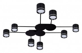 Потолочная люстра Arte Lamp Legacy A8024PL-8BK в Кировграде - kirovgrad.ok-mebel.com | фото