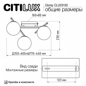 Потолочная люстра Citilux Dorsy CL223132 в Кировграде - kirovgrad.ok-mebel.com | фото 12