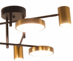 Потолочная люстра Kink Light Рапис 07645-6D,19(20) в Кировграде - kirovgrad.ok-mebel.com | фото 2