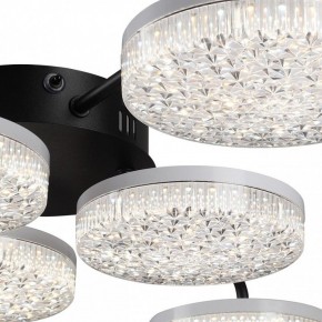Потолочная люстра Lumion Didana 8236/6CL в Кировграде - kirovgrad.ok-mebel.com | фото 9