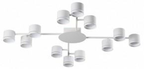 Потолочная люстра Lumion Gareta 8235/12C в Кировграде - kirovgrad.ok-mebel.com | фото
