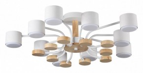 Потолочная люстра Lumion Rondo 8196/10C в Кировграде - kirovgrad.ok-mebel.com | фото