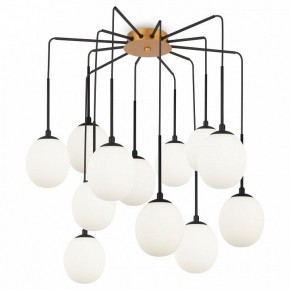 Потолочная люстра Maytoni Branch MOD176PL-12G в Кировграде - kirovgrad.ok-mebel.com | фото 3