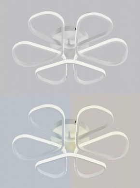 Потолочная люстра Natali Kovaltseva COBRA LED LAMPS 81121/7C в Кировграде - kirovgrad.ok-mebel.com | фото 6