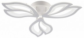 Потолочная люстра Natali Kovaltseva FORTUNA LED LAMPS 81107/2C в Кировграде - kirovgrad.ok-mebel.com | фото