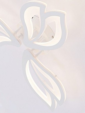 Потолочная люстра Natali Kovaltseva FORTUNA LED LAMPS 81107/2C в Кировграде - kirovgrad.ok-mebel.com | фото 11