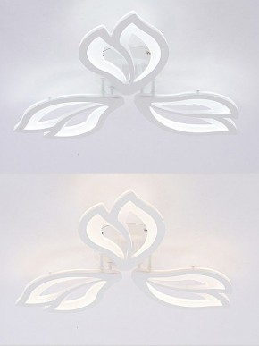 Потолочная люстра Natali Kovaltseva FORTUNA LED LAMPS 81107/2C в Кировграде - kirovgrad.ok-mebel.com | фото 4