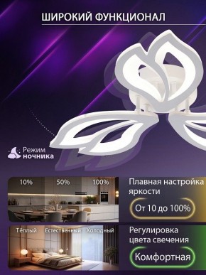 Потолочная люстра Natali Kovaltseva FORTUNA LED LAMPS 81107/2C в Кировграде - kirovgrad.ok-mebel.com | фото 5