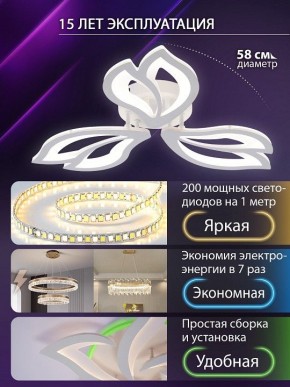 Потолочная люстра Natali Kovaltseva FORTUNA LED LAMPS 81107/2C в Кировграде - kirovgrad.ok-mebel.com | фото 6
