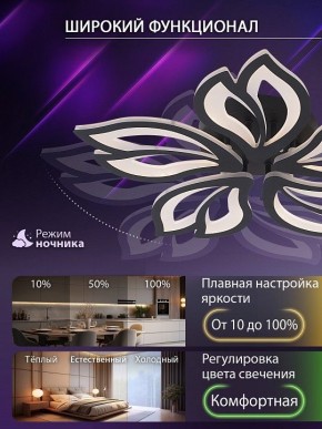 Потолочная люстра Natali Kovaltseva FORTUNA LED LAMPS 81107/5C в Кировграде - kirovgrad.ok-mebel.com | фото 6