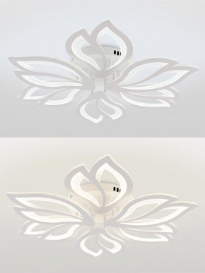 Потолочная люстра Natali Kovaltseva FORTUNA LED LAMPS 81107/6C в Кировграде - kirovgrad.ok-mebel.com | фото 4