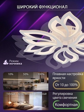 Потолочная люстра Natali Kovaltseva FORTUNA LED LAMPS 81107/6C в Кировграде - kirovgrad.ok-mebel.com | фото 6