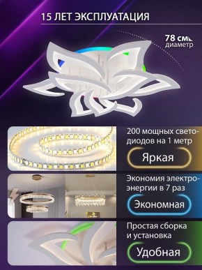 Потолочная люстра Natali Kovaltseva OLIMP LED LAMPS 81435 в Кировграде - kirovgrad.ok-mebel.com | фото 5
