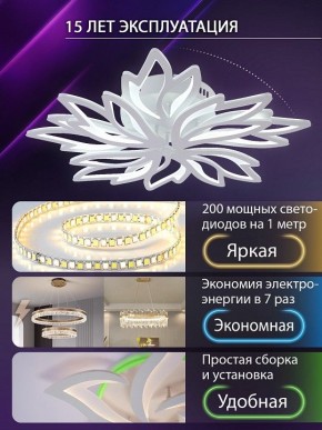 Потолочная люстра Natali Kovaltseva RIF LED LAMPS 81118/6C в Кировграде - kirovgrad.ok-mebel.com | фото 5