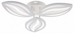 Потолочная люстра Natali Kovaltseva SM LED LAMPS 81456 в Кировграде - kirovgrad.ok-mebel.com | фото