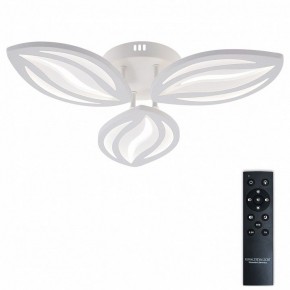 Потолочная люстра Natali Kovaltseva SM LED LAMPS 81456 в Кировграде - kirovgrad.ok-mebel.com | фото 2