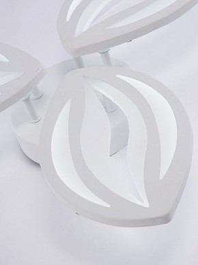 Потолочная люстра Natali Kovaltseva SM LED LAMPS 81456 в Кировграде - kirovgrad.ok-mebel.com | фото 8
