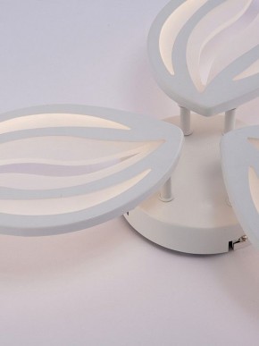 Потолочная люстра Natali Kovaltseva SM LED LAMPS 81456 в Кировграде - kirovgrad.ok-mebel.com | фото 9
