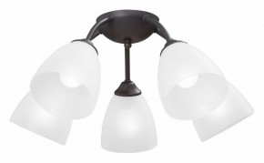 Потолочная люстра Vitaluce V3184 V3737-2/5PL в Кировграде - kirovgrad.ok-mebel.com | фото