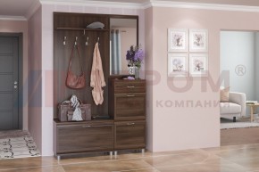 Прихожая Мелисса композиция 8 (Акация Молдау) в Кировграде - kirovgrad.ok-mebel.com | фото