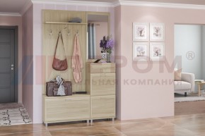 Прихожая Мелисса композиция 8 (Ясень Асахи) в Кировграде - kirovgrad.ok-mebel.com | фото