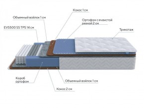 PROxSON Матрас Active Duo M/F (Ткань Трикотаж Эко) 160x200 в Кировграде - kirovgrad.ok-mebel.com | фото 7