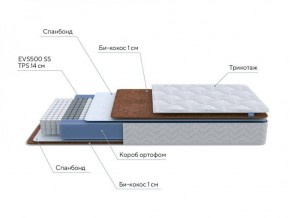 PROxSON Матрас Active F (Ткань Трикотаж Эко) 120x190 в Кировграде - kirovgrad.ok-mebel.com | фото 7