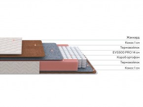 PROxSON Матрас Standart F Roll (Ткань Синтетический жаккард) 160x200 в Кировграде - kirovgrad.ok-mebel.com | фото 2