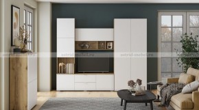 МИЛАН-1 Секция ТВ (ЦРК.МЛН.01 секция ТВ) в Кировграде - kirovgrad.ok-mebel.com | фото 3