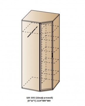 ШК-1011 (Шкаф угловой) в Кировграде - kirovgrad.ok-mebel.com | фото