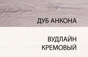 Шкаф 1DZ, OLIVIA, цвет вудлайн крем/дуб анкона в Кировграде - kirovgrad.ok-mebel.com | фото 3