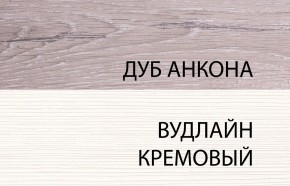 Шкаф 2DG, OLIVIA, цвет вудлайн крем/дуб анкона в Кировграде - kirovgrad.ok-mebel.com | фото 3