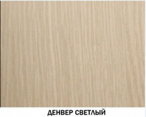 Шкаф для одежды №609 "Инна" Денвер светлый (*без полок) в Кировграде - kirovgrad.ok-mebel.com | фото 4