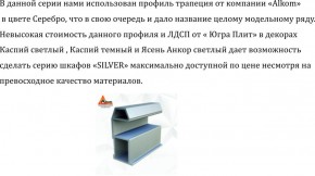 Шкаф-купе 1300 серии SILVER S3+S4+B2+PL4 (2 ящика+F обр.штанга) профиль «Серебро» в Кировграде - kirovgrad.ok-mebel.com | фото 4