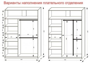 Шкаф-купе 1600 серии SOFT D6+D4+B2+PL2 (2 ящика+1штанга+1 полка) профиль «Капучино» в Кировграде - kirovgrad.ok-mebel.com | фото 9