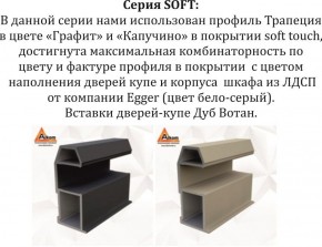 Шкаф-купе 1800 серии SOFT D1+D3+B2+PL1 (2 ящика+1штанга) профиль «Графит» в Кировграде - kirovgrad.ok-mebel.com | фото 11