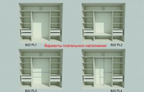 Шкаф-купе 2450 серии NEW CLASSIC K6Z+K1+K6+B22+PL1 (по 2 ящика лев/прав+1 штанга) профиль «Капучино» в Кировграде - kirovgrad.ok-mebel.com | фото 6