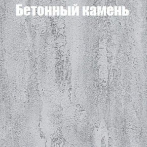 Шкаф-купе Бассо 1.0 (Дуб Крафт серый/Бетонный камень) 2 двери ЛДСП 1 зеркальная вставка в Кировграде - kirovgrad.ok-mebel.com | фото 3