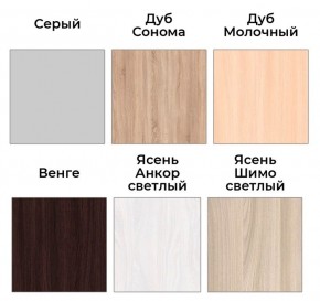 Шкаф-купе ХИТ 22-4-14-88 (420) в Кировграде - kirovgrad.ok-mebel.com | фото 4
