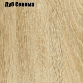 Шкаф-купе Лофт 3000 Шк30-47 (Дуб Сонома) в Кировграде - kirovgrad.ok-mebel.com | фото 4