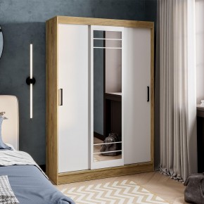 Шкаф-купе Тео ШКК-02 (крафт/белый) в Кировграде - kirovgrad.ok-mebel.com | фото