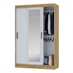 Шкаф-купе Тео ШКК-02 (крафт/белый) в Кировграде - kirovgrad.ok-mebel.com | фото 3